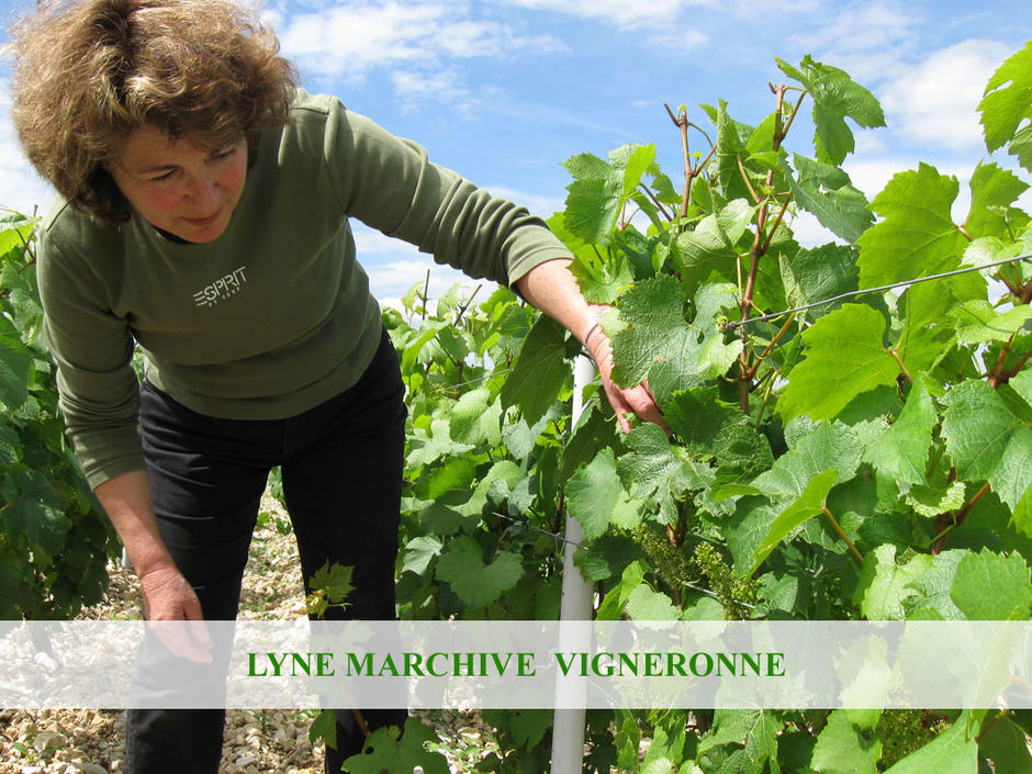 Vinmakaren Lyne Marchive