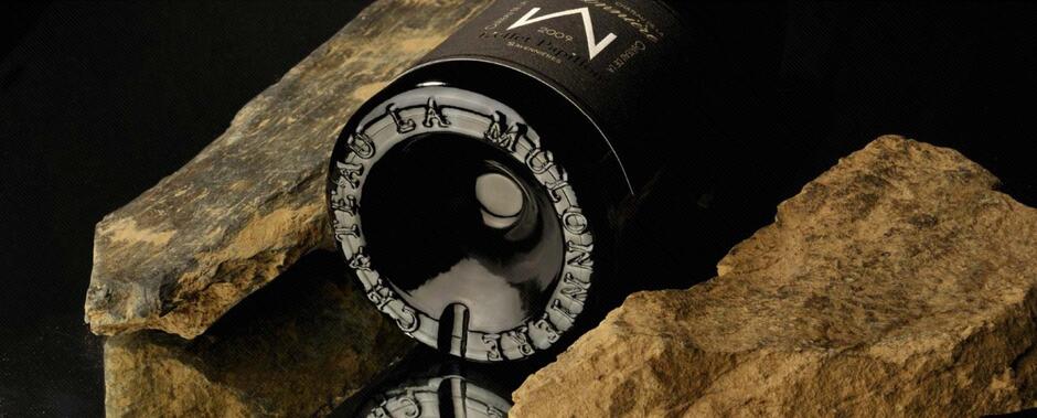 Château de la Mulonnière