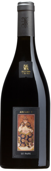 Xavier Arcane Le Pape 2010